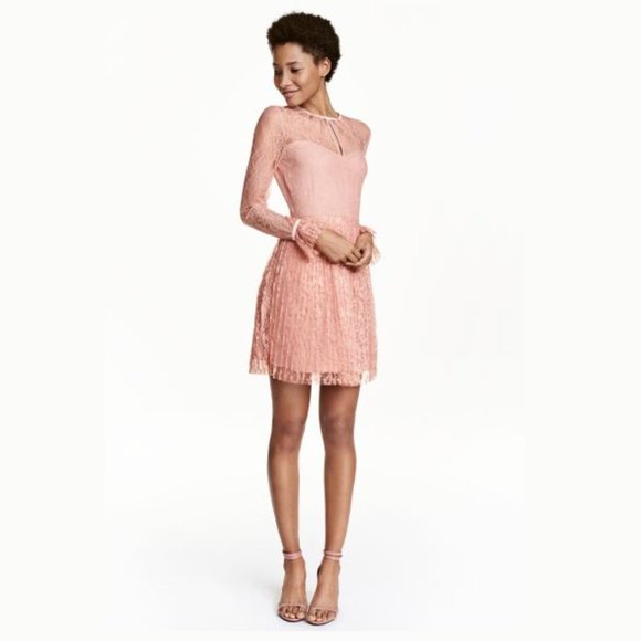 H&M | Dresses | Hm Pink Pleated Feminine Lace Dress | Poshmark